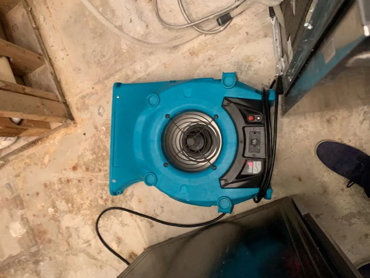 Air mover drying equipment for Mold Remediation & Removal in Pittsfield